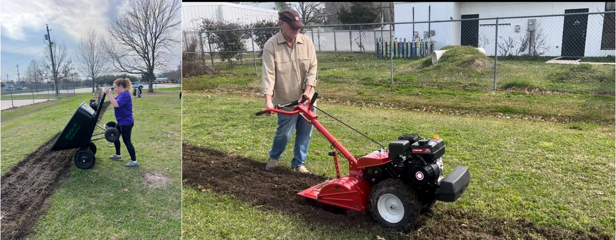 Left: Person dumping wheelbarrow load onto garden bed. Right: A person using a small machine to break up soil before installing blueberries.